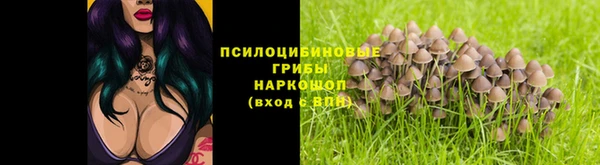 тгк Нея