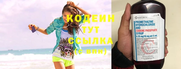 тгк Нея