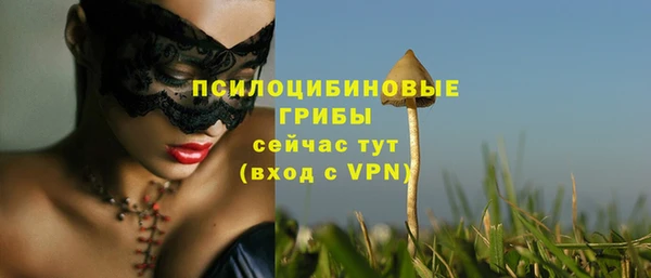 тгк Нея